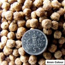 Fresh Look at Koi Food Premium Quality Koi Carp Foods